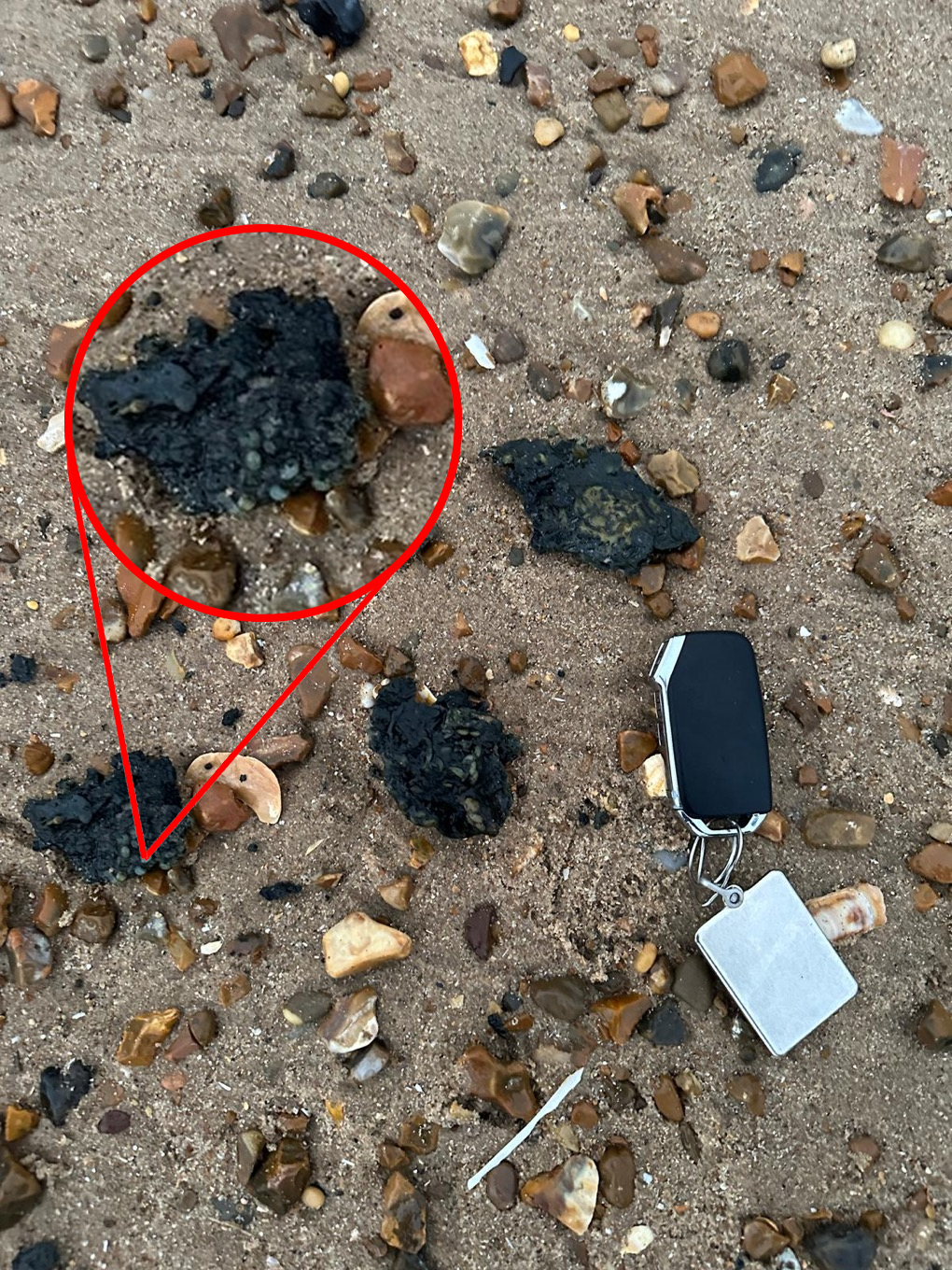 Nurdles spotted on the coastline 