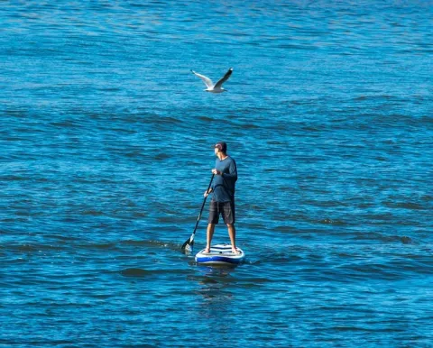 Paddleboarder