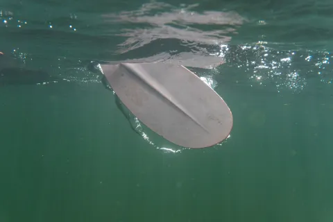 Underwater view of a kayak paddle