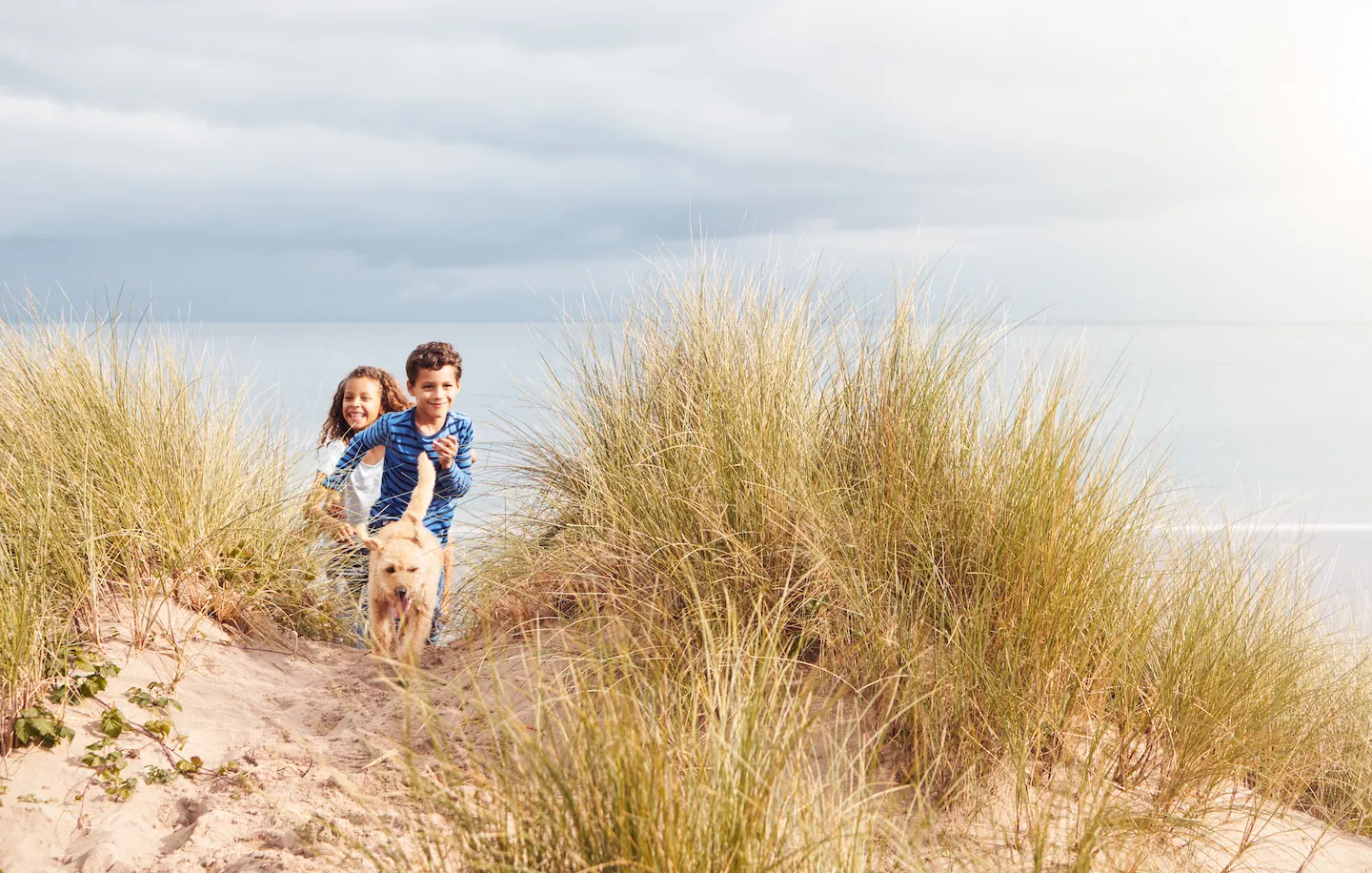 Children on the beach