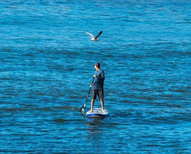 Paddleboarder