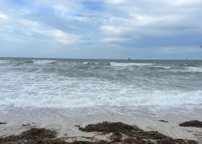 Gylly Beach in Falmouth, Cornwall 